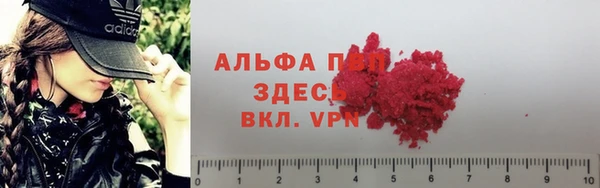 амф Алзамай