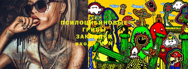 амф Алзамай