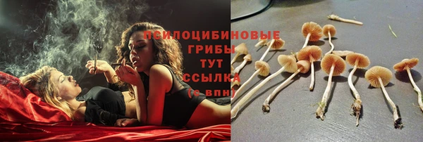 амф Алзамай
